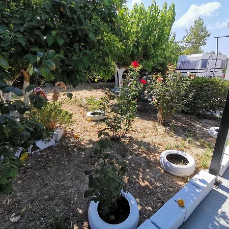Green Garden Caravan Hotel Agrilia Екстериор снимка