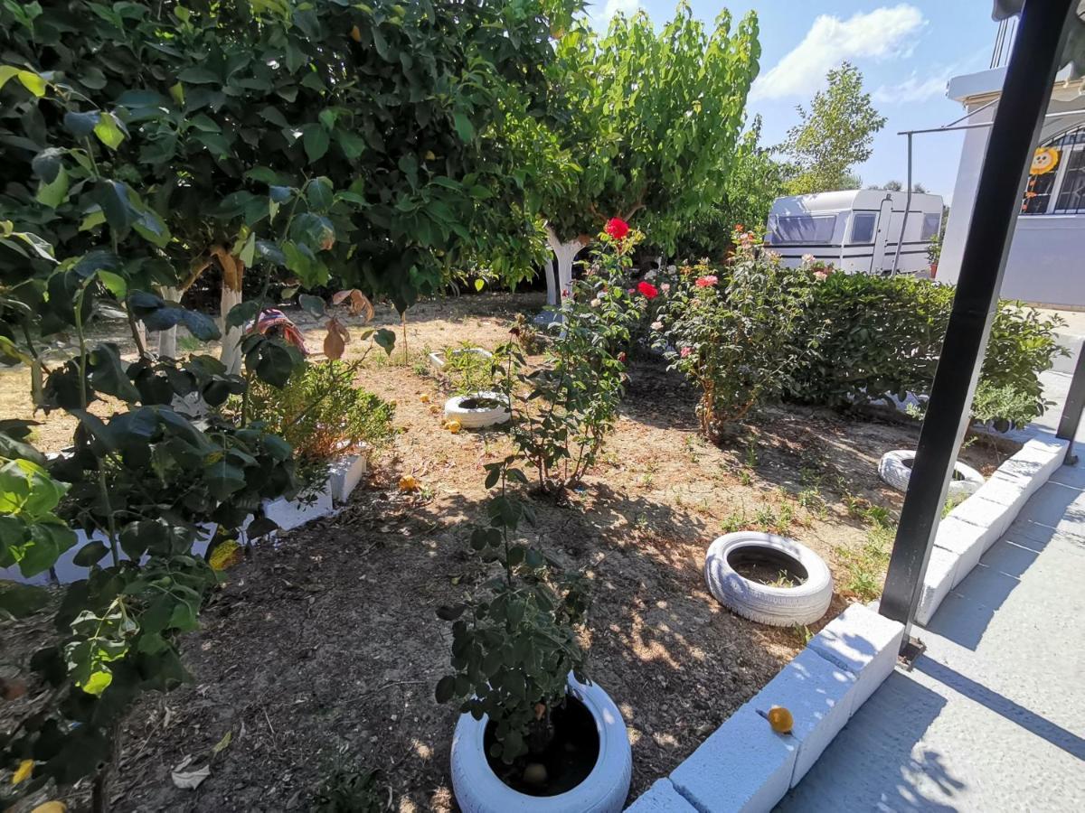 Green Garden Caravan Hotel Agrilia Екстериор снимка